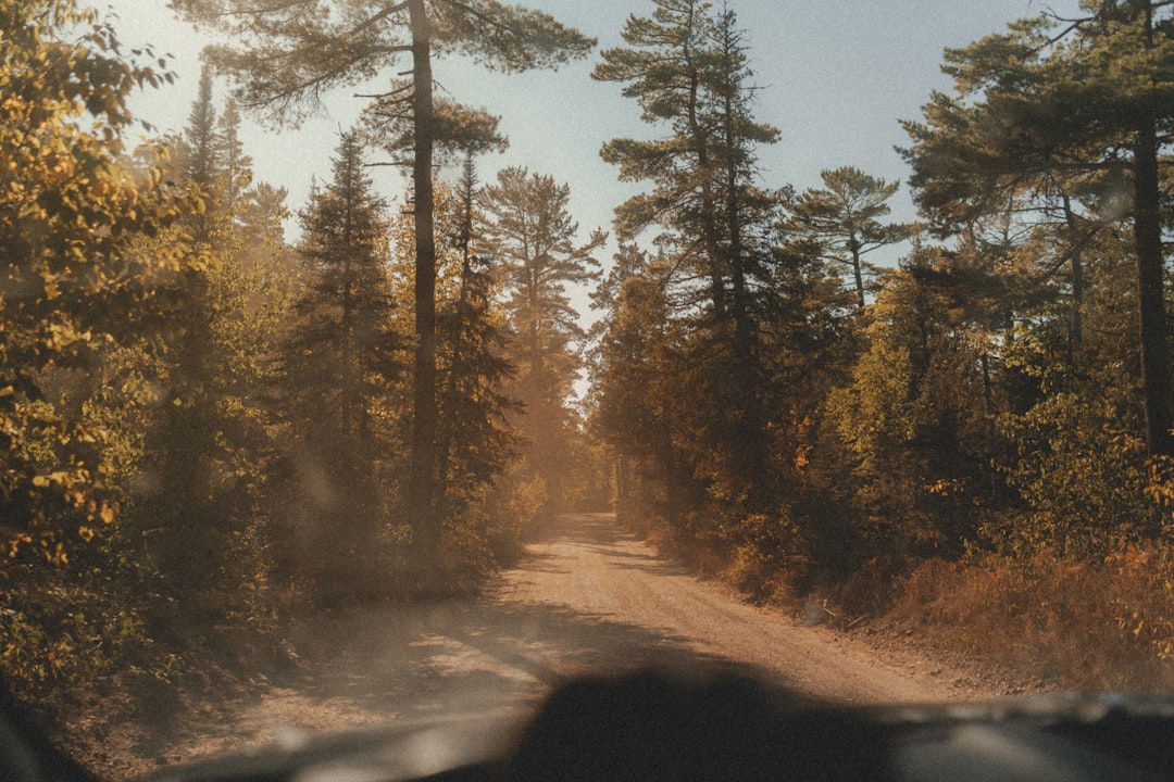 Embracing Nature: The Healing Power of Outdoor Travel
