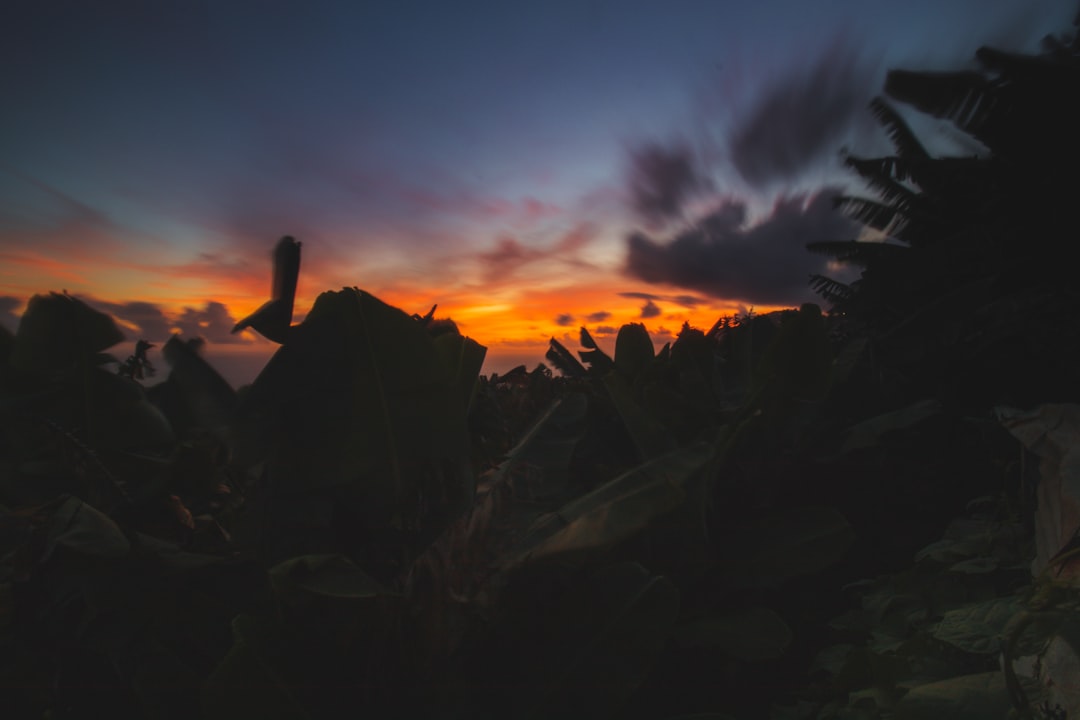 Unleashing the Thrill of Outdoor Adventures